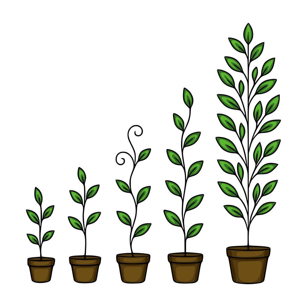 illustration of six potted plants in various growth stages, showcasing a vibrant green palette and a stylized, hand-drawn aesthetic, ideal for eco-friendly or growth-related designs. vector