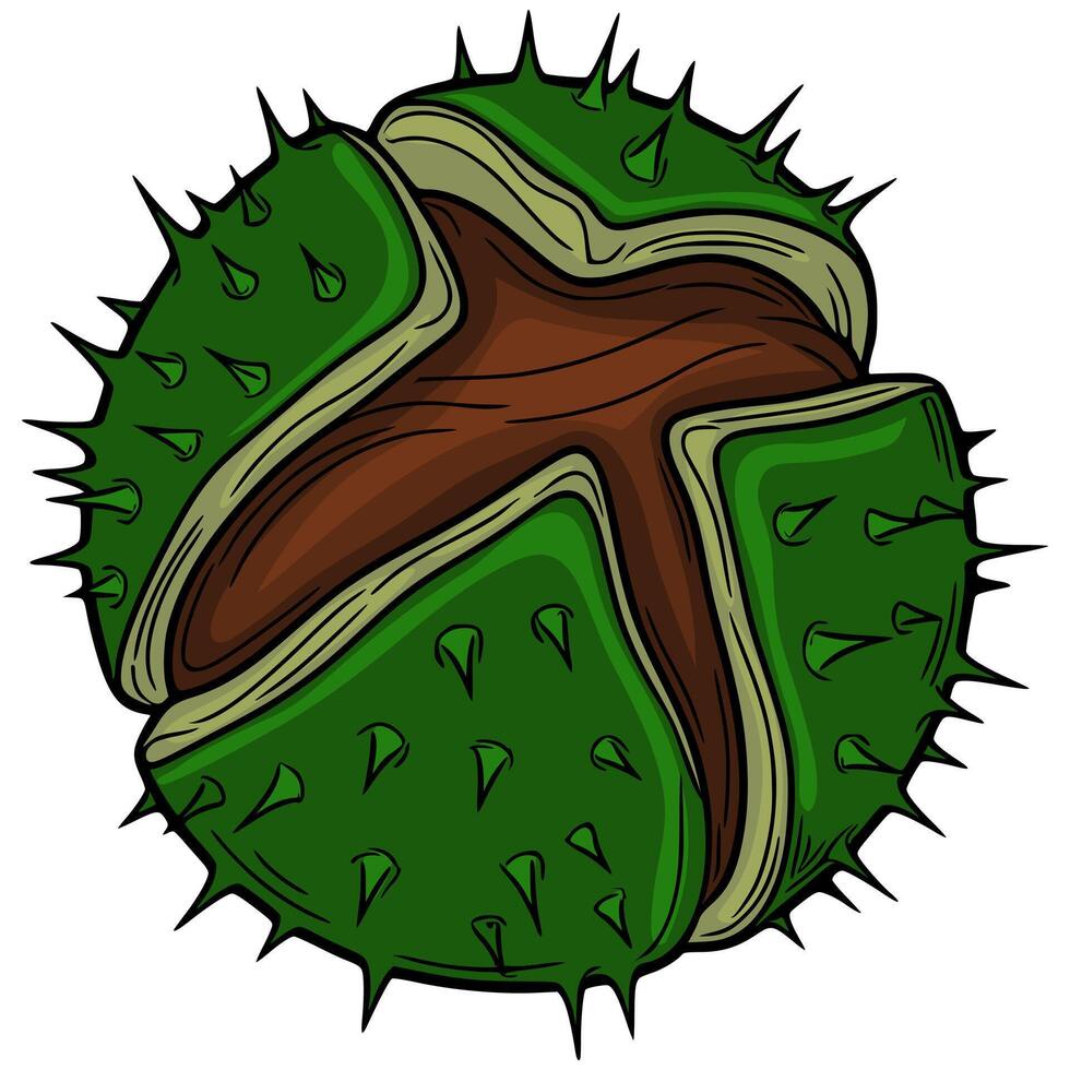 illustration of a stylized chestnut in its spiky green husk, showcasing a unique hand-drawn style with bold outlines and rich brown and green tones. vector