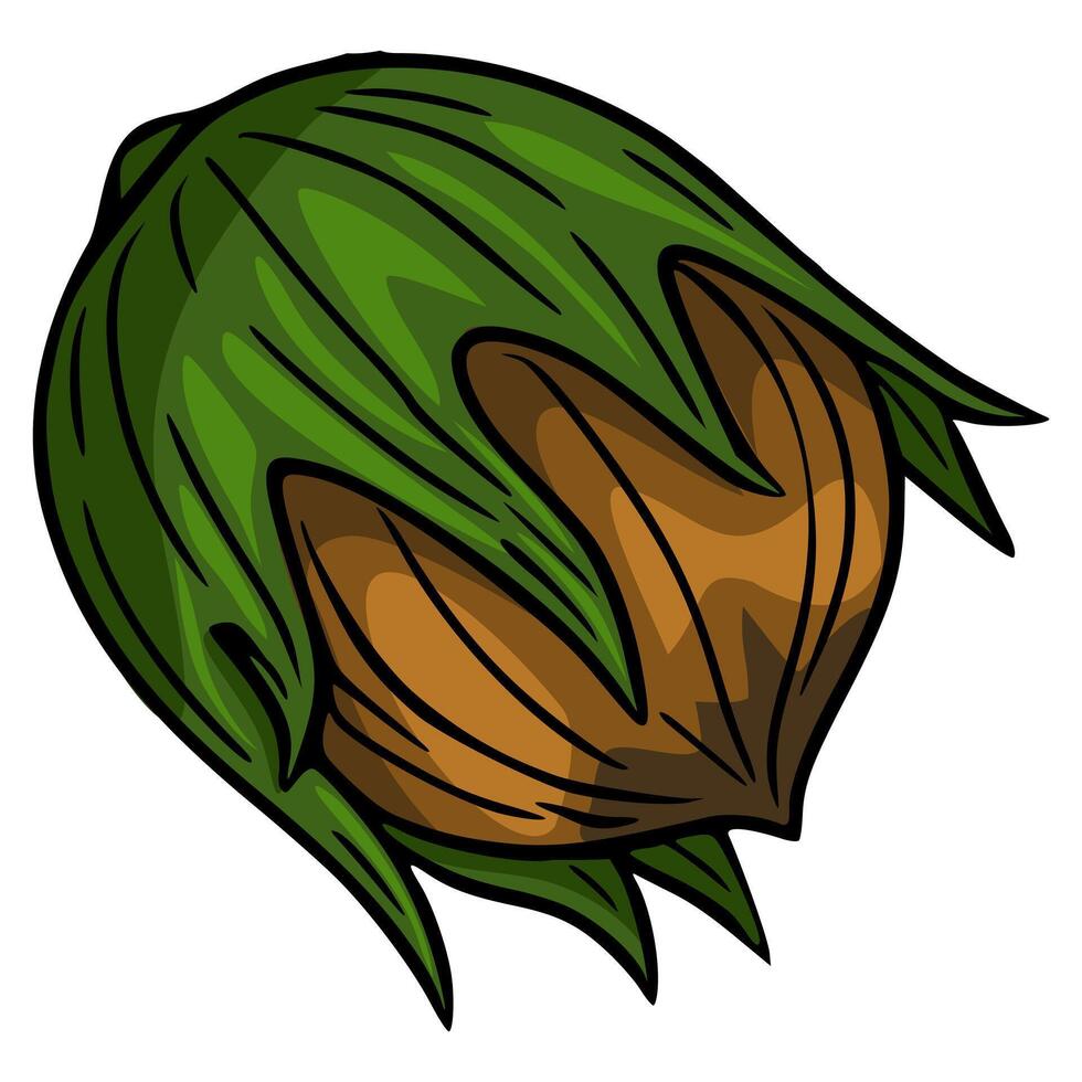 A illustration of a hazelnut in its husk, showcasing a stylized hand-drawn design with vibrant green leaves and a rich brown nut. vector