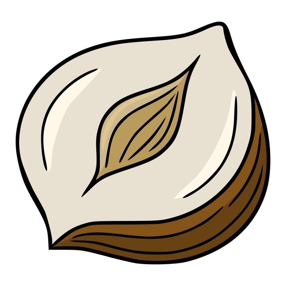 A whimsical illustration of a halved hazelnut, showcasing its creamy interior and rich brown shell, drawn in a cartoon style with bold outlines. vector