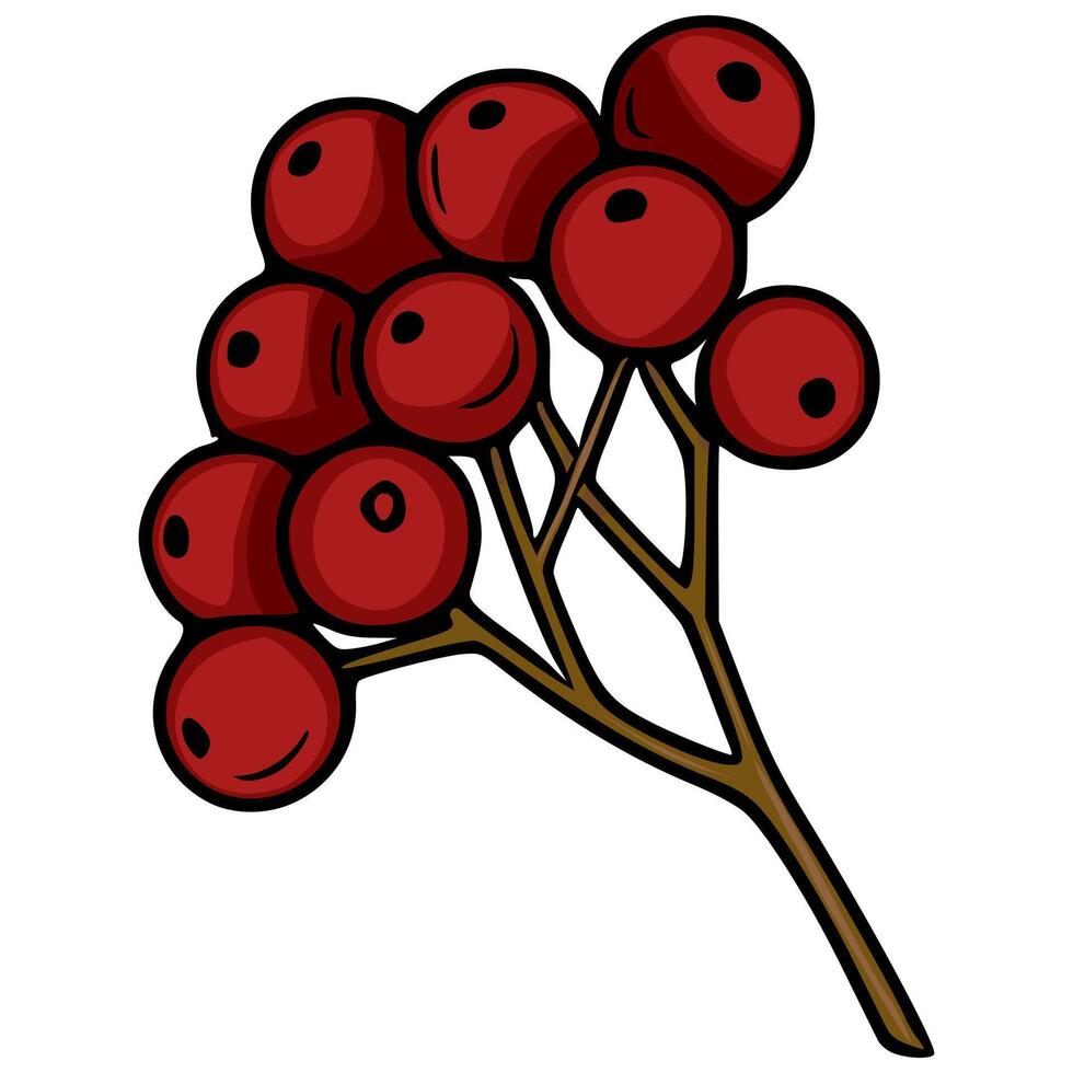 A illustration of a stylized sprig of red berries, featuring bold outlines and a dark brown stem, suitable for autumnal designs and seasonal greetings. vector