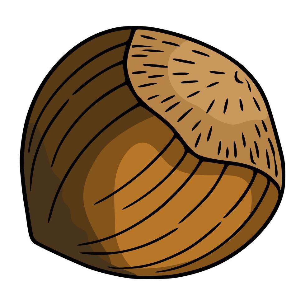 A detailed illustration of a single hazelnut, showcasing its textured shell with distinct brown hues and a hand-drawn style, perfect for autumnal designs or food-related projects. vector