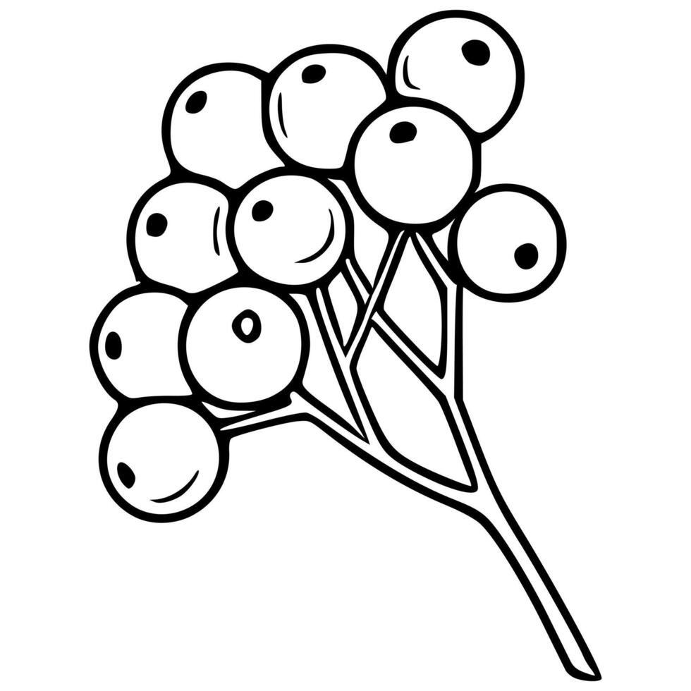 Elegant illustration of a stylized sprig with round berries, perfect for design projects requiring a touch of minimalist nature. vector