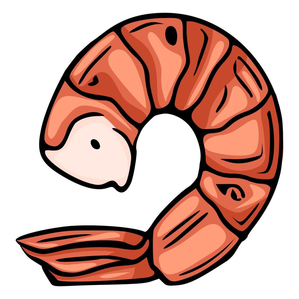 Delicious Cooked Shrimp Illustration A Detailed Closeup of a Single, Perfectly Curled Shrimp with a Vibrant Orange Hue and Black Outline. vector