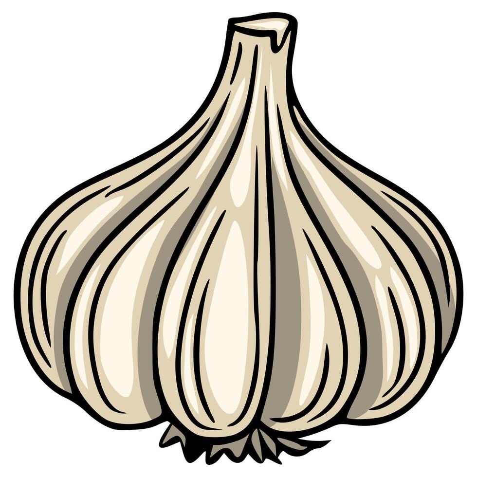 illustration of a single garlic bulb, depicted in a stylized cartoon manner with bold outlines and beige color palette, showcasing its segmented structure and textured surface. vector