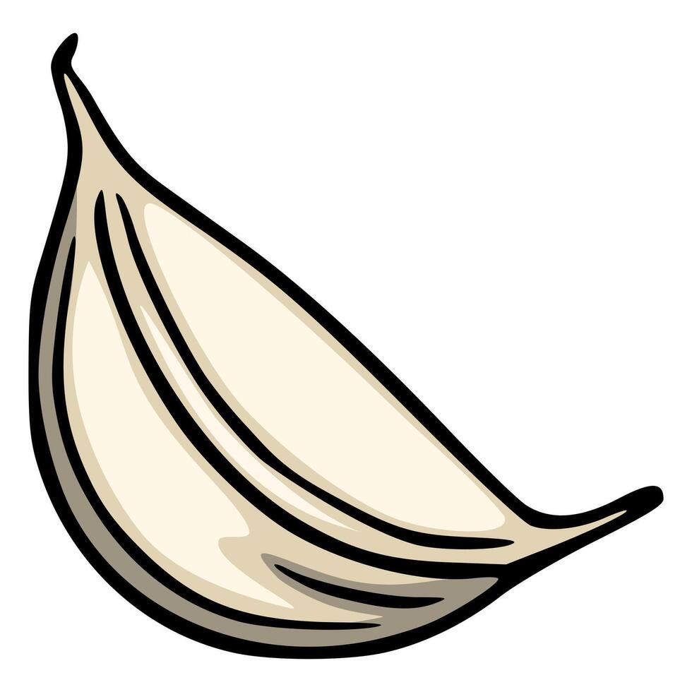 A illustration of a single clove of garlic, depicted in a handdrawn style with bold black outlines and beigetoned shading, showcasing its curved form and detailed texture. vector
