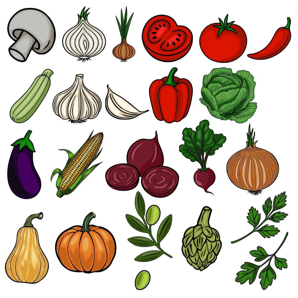 A vibrant illustration featuring a diverse collection of handdrawn vegetables, including mushrooms, garlic, onions, tomatoes, peppers, cabbage, eggplant, corn, beets, and pumpkins, showcasi... vector