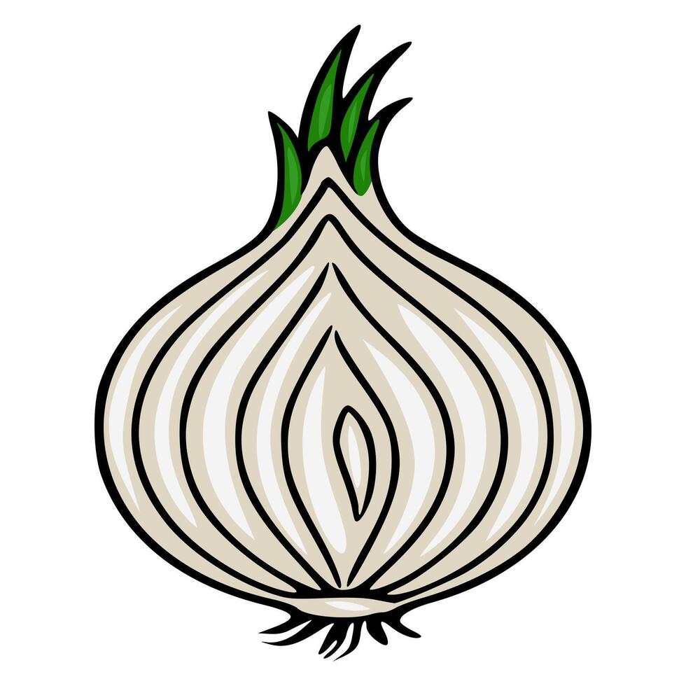 A detailed illustration of a halved onion with a stylized, cartoonish design, featuring beige and white layers, black outlines, and vibrant green sprouts. vector