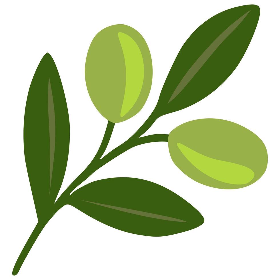 A stylized illustration of an olive branch with two olives and several leaves, showcasing a minimalist design with varying shades of green. vector