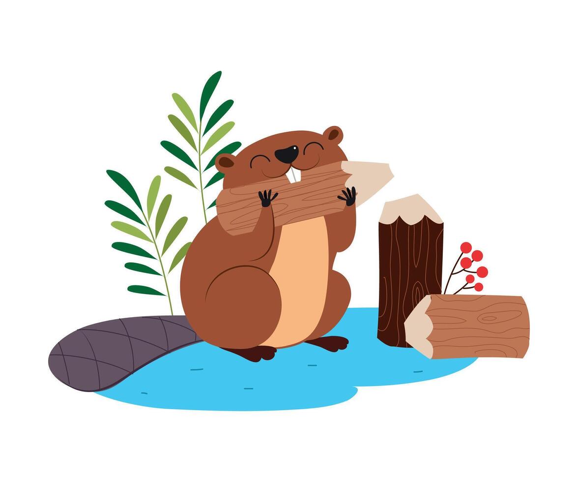 Funny Beaver Rodent as Forest Animal Gnawing WoodVector Illustration vector