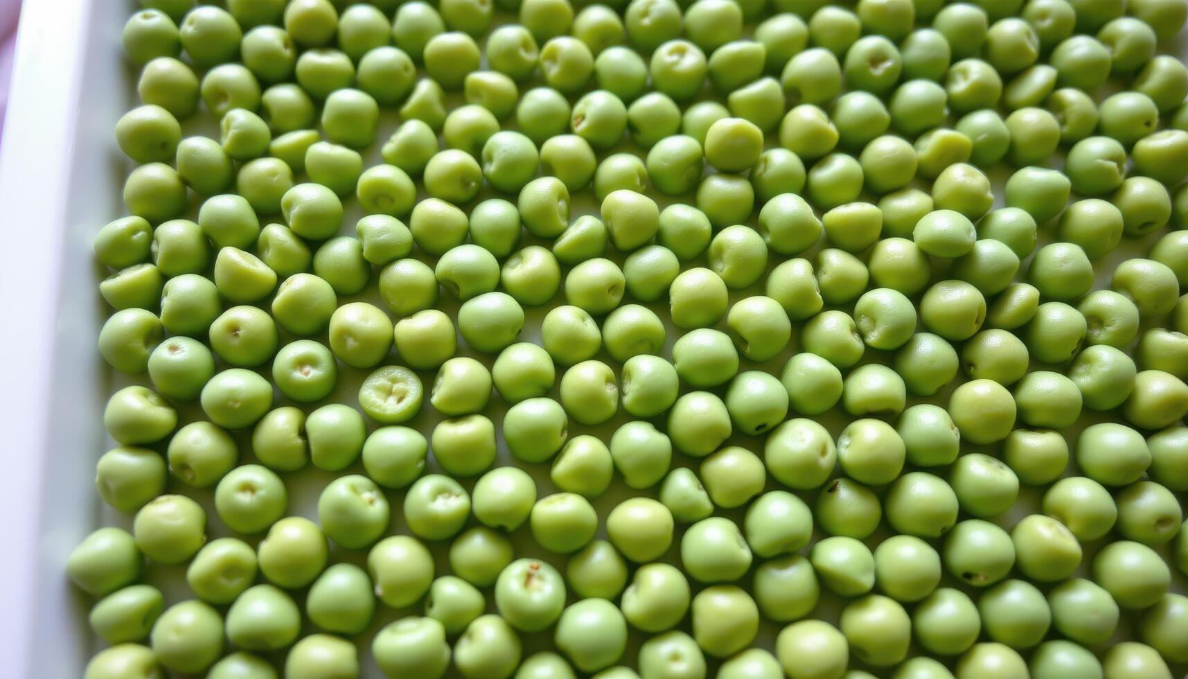close up view of green pea seeds perfectly spherical and lined in rows on a white tray. photo