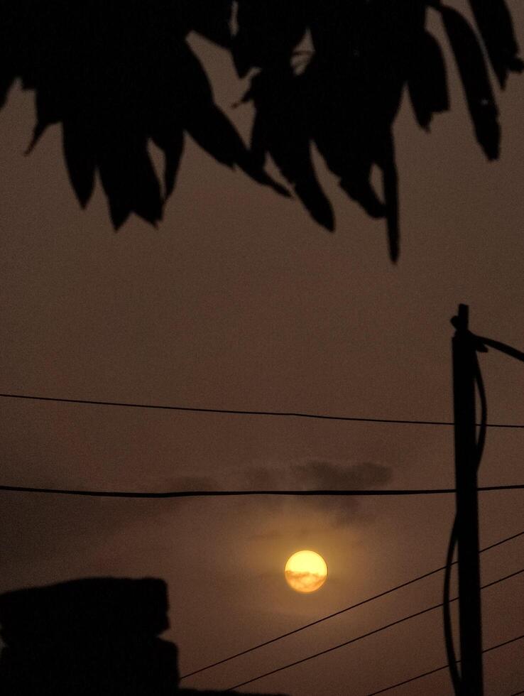 Golden hour sunset aesthetic wallpaper with trees and power lines for phone background photography 4k photo