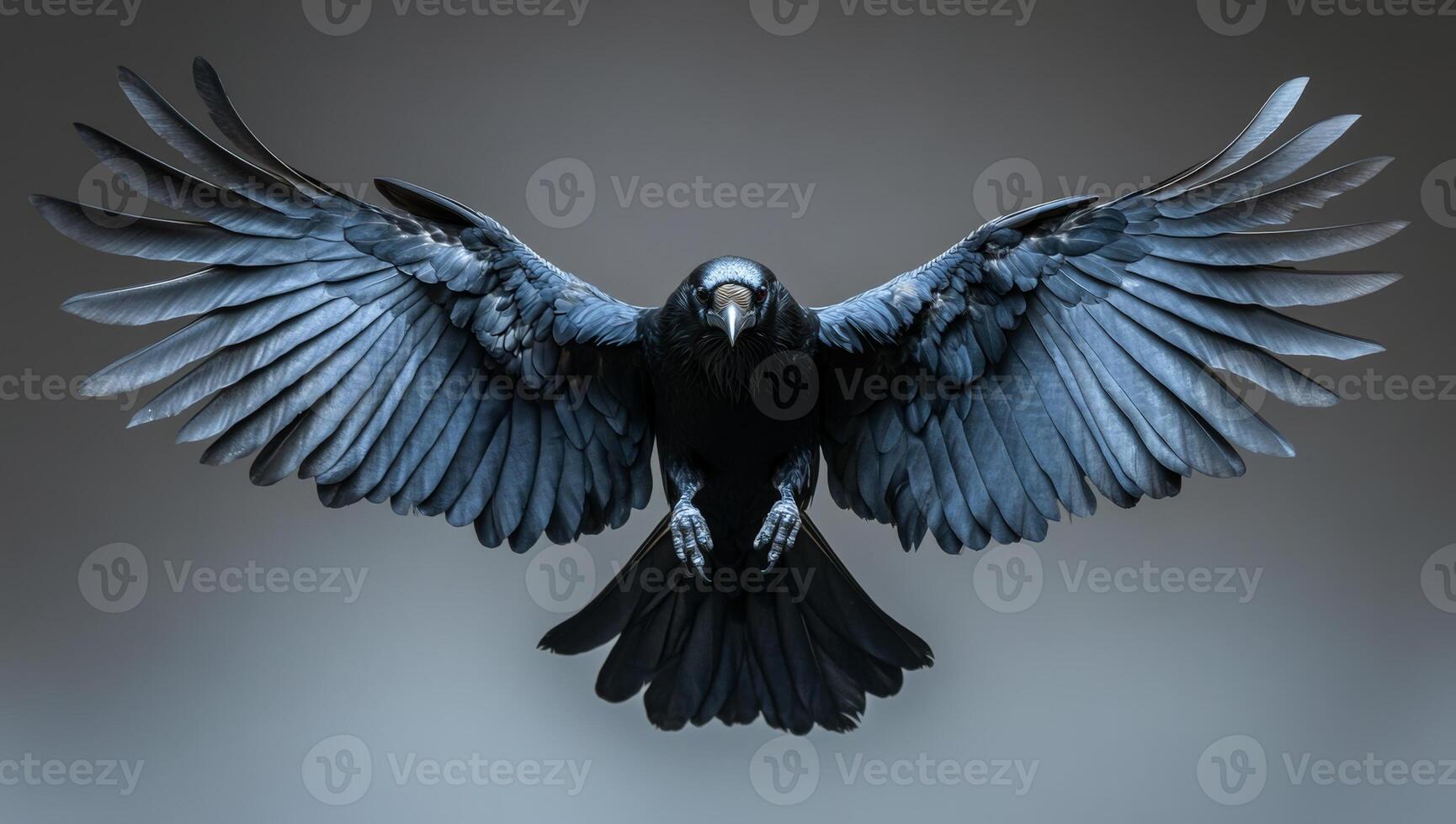 Majestic black raven in flight. A black raven soars with wings outstretched, displaying its impressive feathers against a neutral backdrop. photo