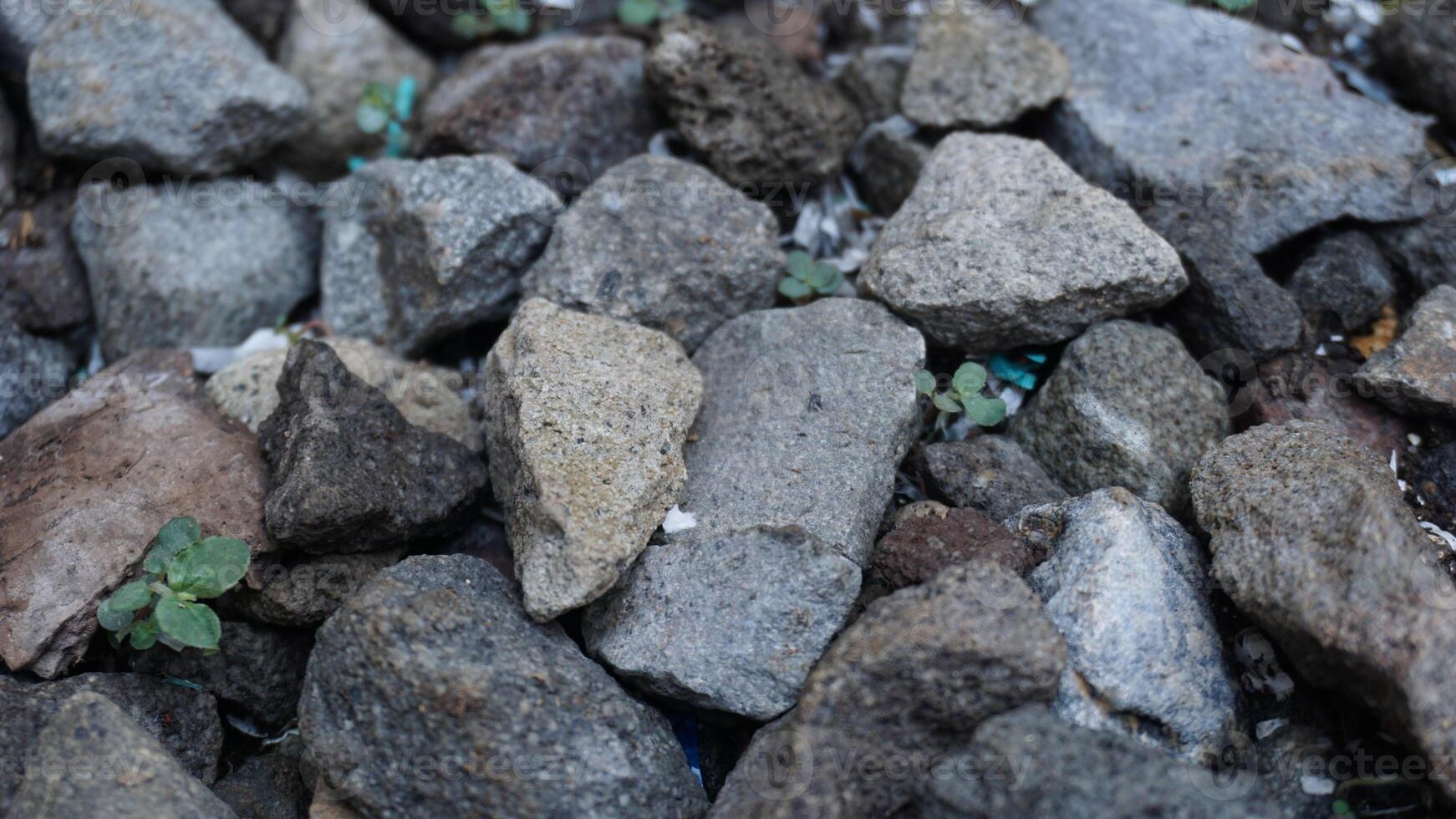 A pile of rocks and gravel with some plants photo
