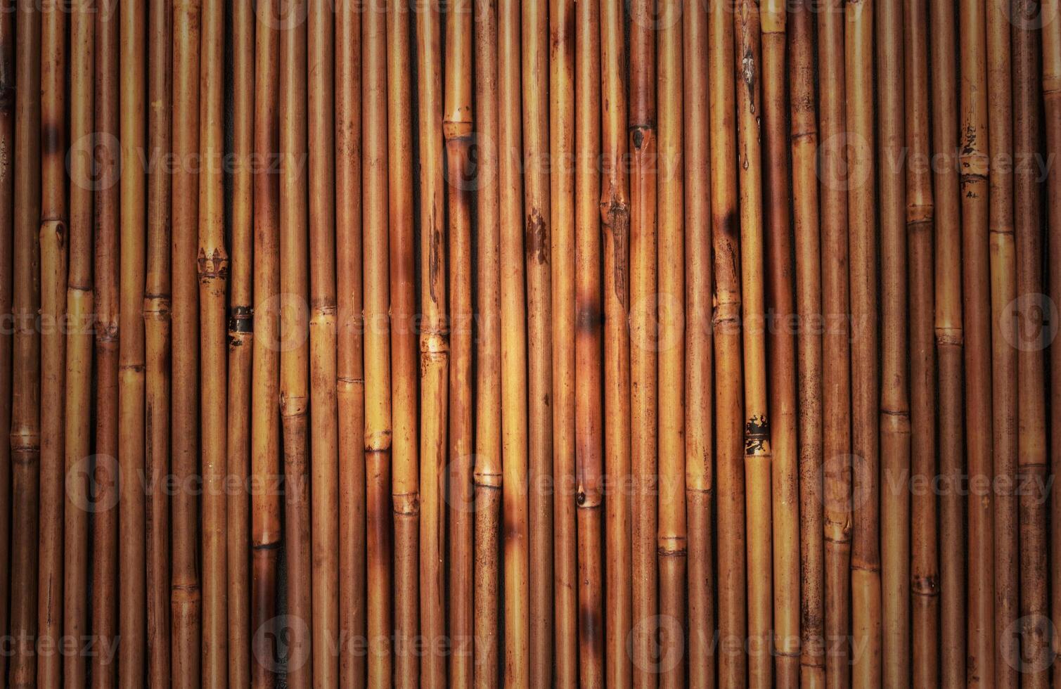 bamboo texture close up photo