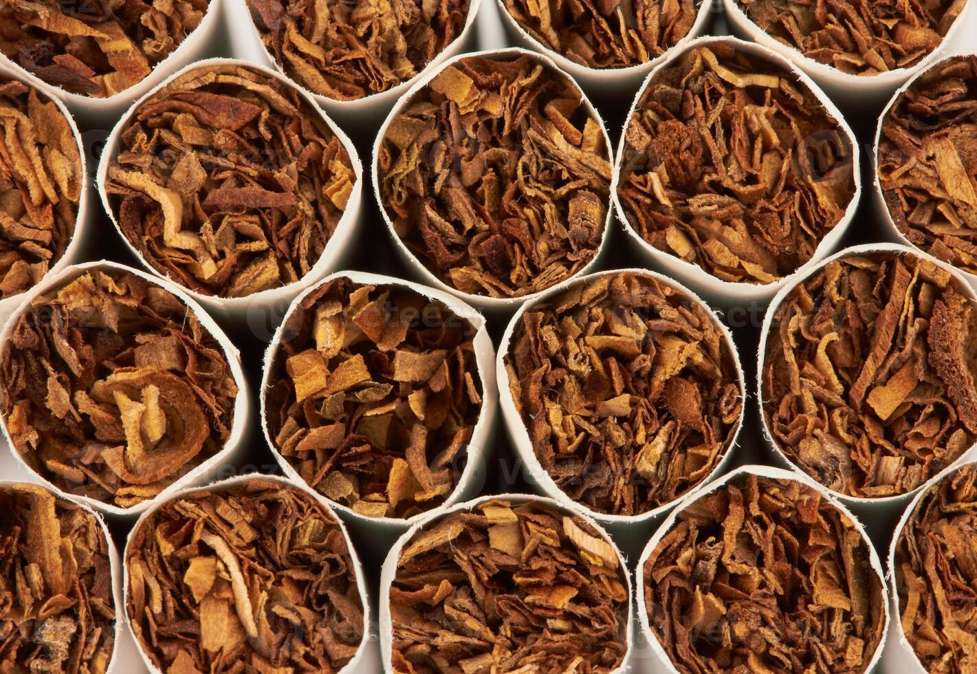 Closeup of a cigarettes photo
