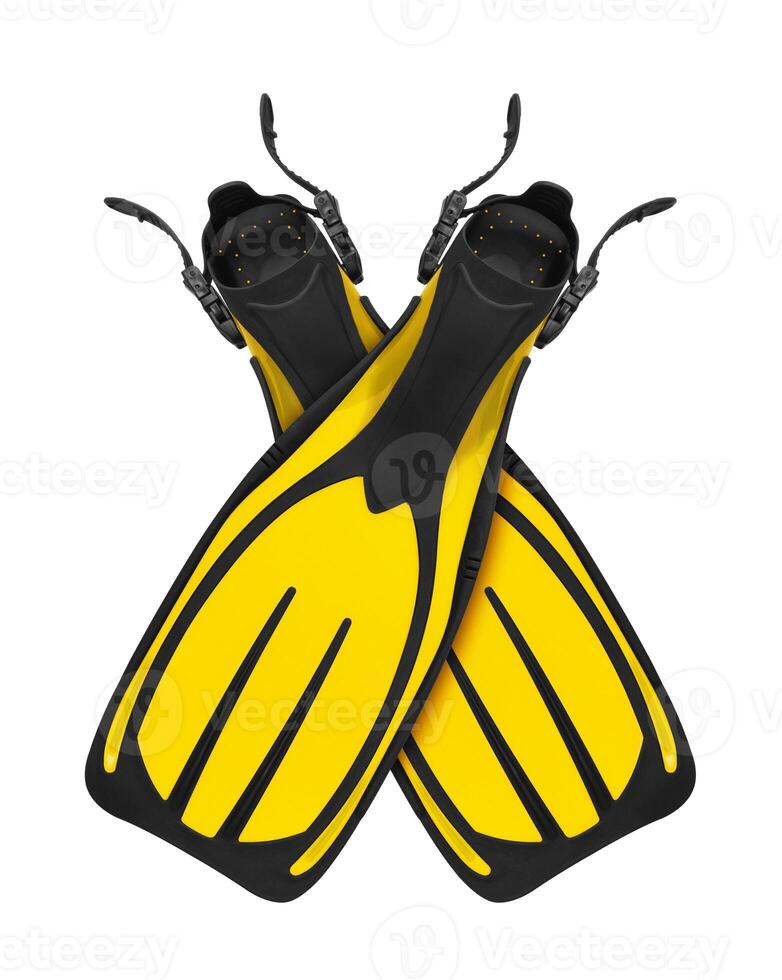 Diving flippers on white back photo