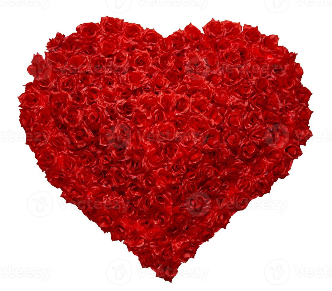 Valentines Day Rose Heart on White Background photo
