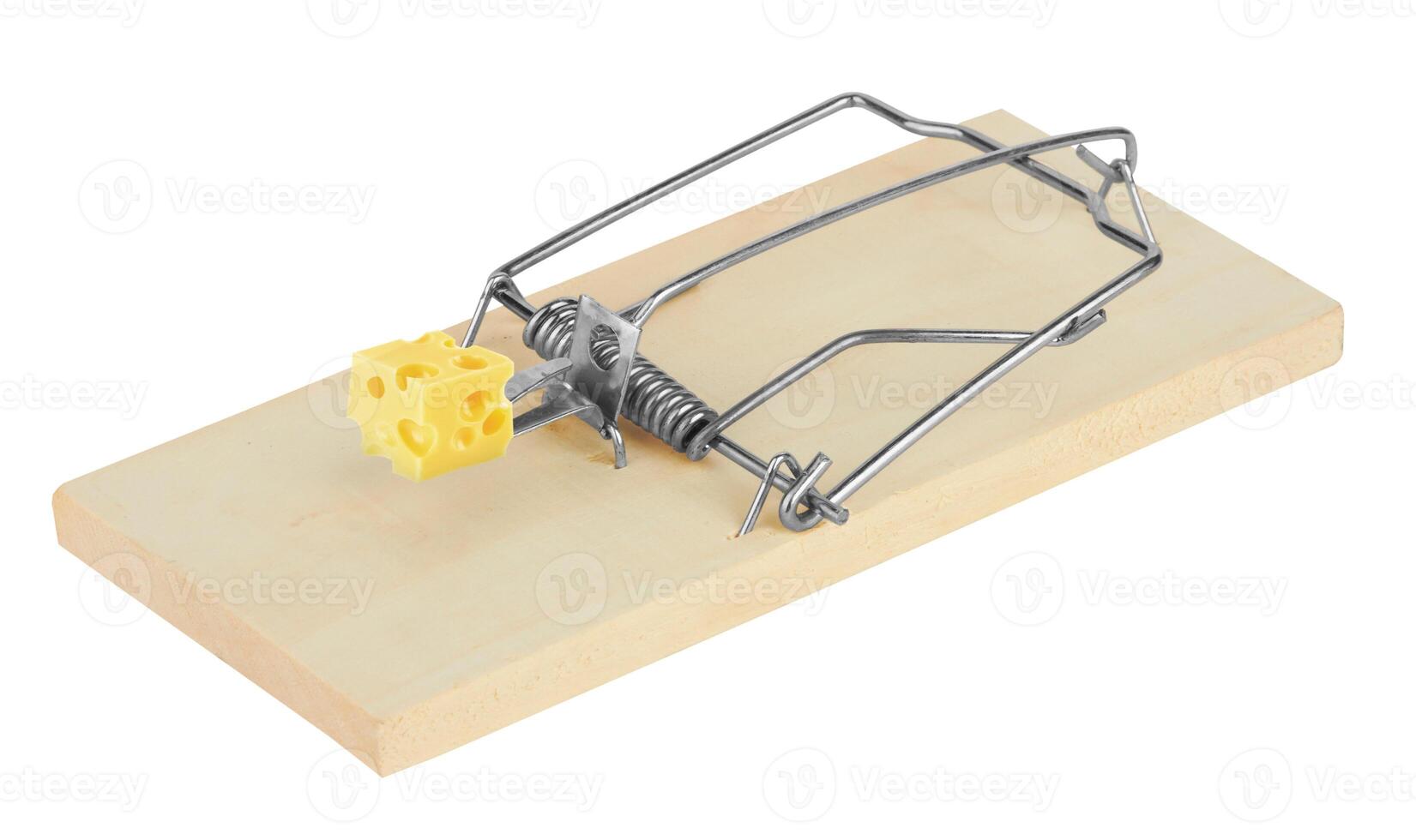 mousetrap with cheese photo