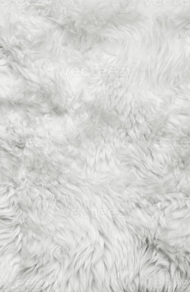 White fur background photo