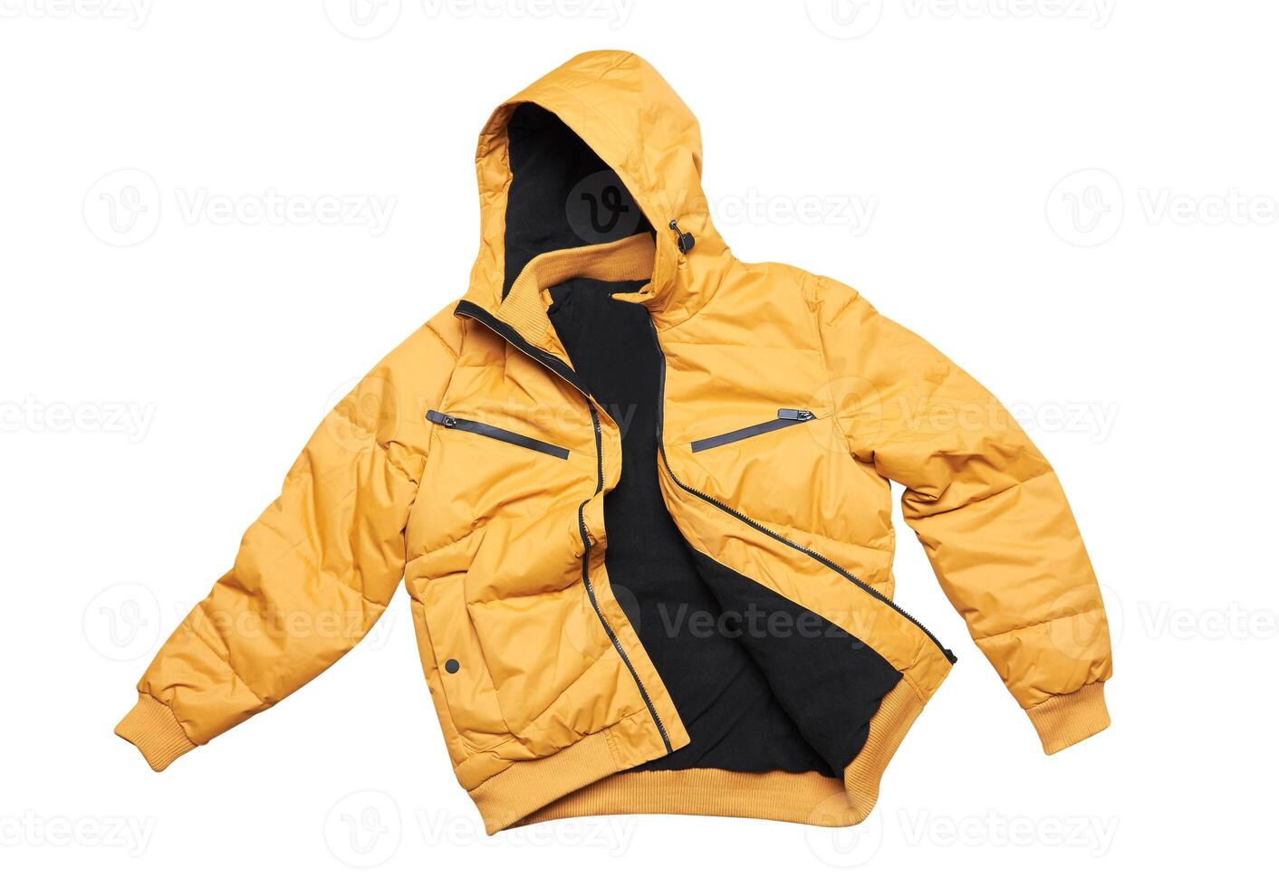 Yellow Jacket on white photo