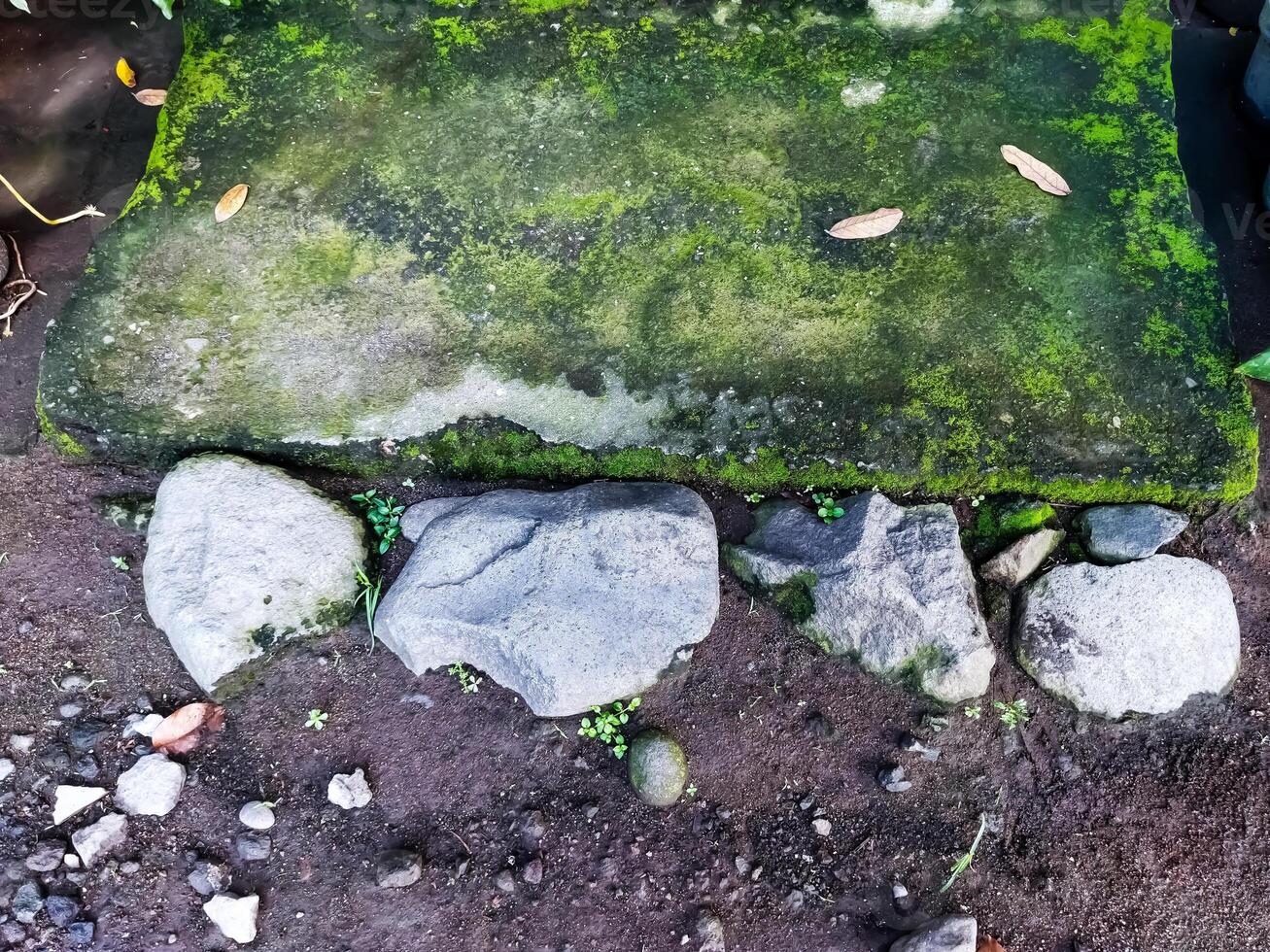 Mossy stones on the terrace of the house photo