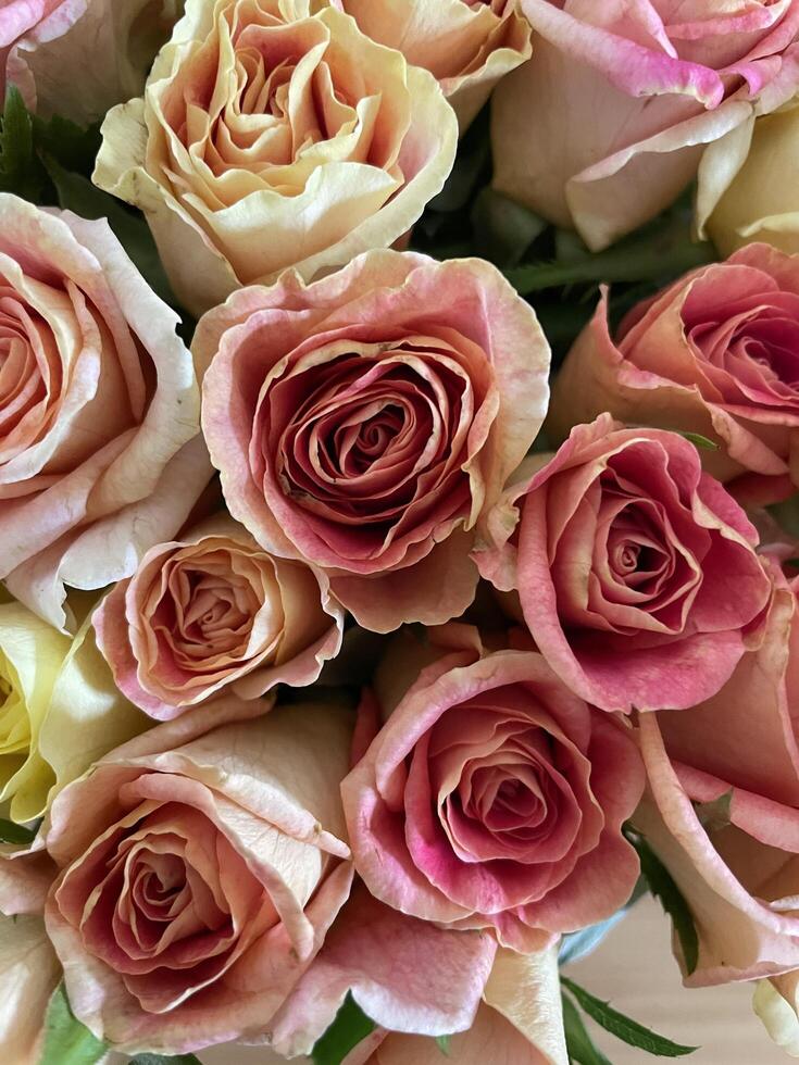 Bouquet of pink and yellow roses from above photo