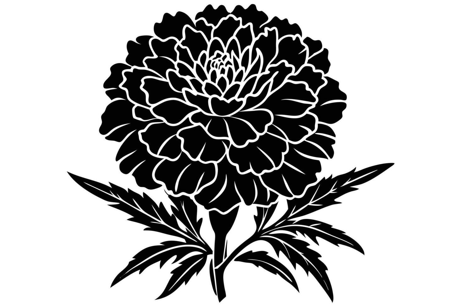 Elegant Black and White Marigold Flower Silhouette, Dramatic Floral Design, Isolated on White Background, Botanical Illustration, Dark Mood vector