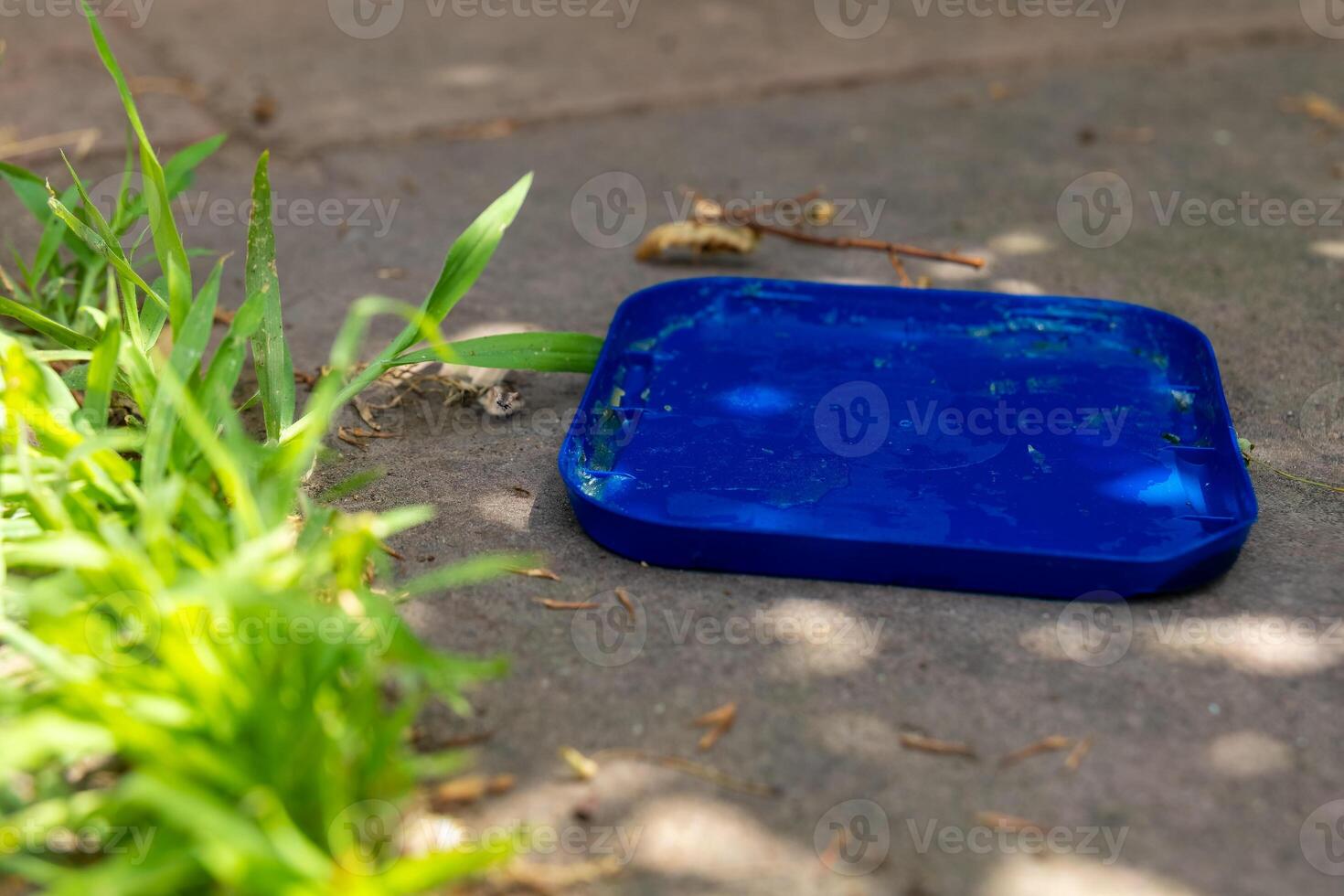 Bright blue tray rests on sunlit concrete surrounded by lush green grass on a warm summer afternoon photo