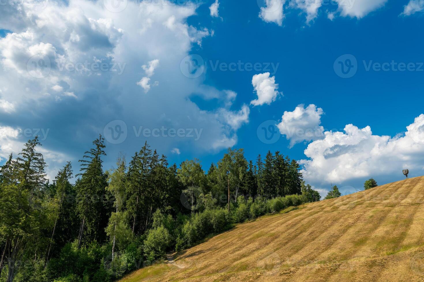 Expansive hills beneath a vibrant sky with fluffy clouds in a serene landscape setting during late afternoon photo