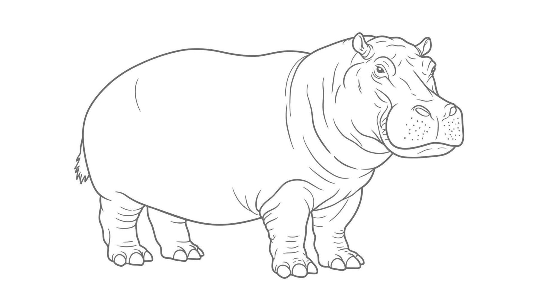 Powerful Hippopotamus Standing in Water Detailed Coloring Page for Adults vector
