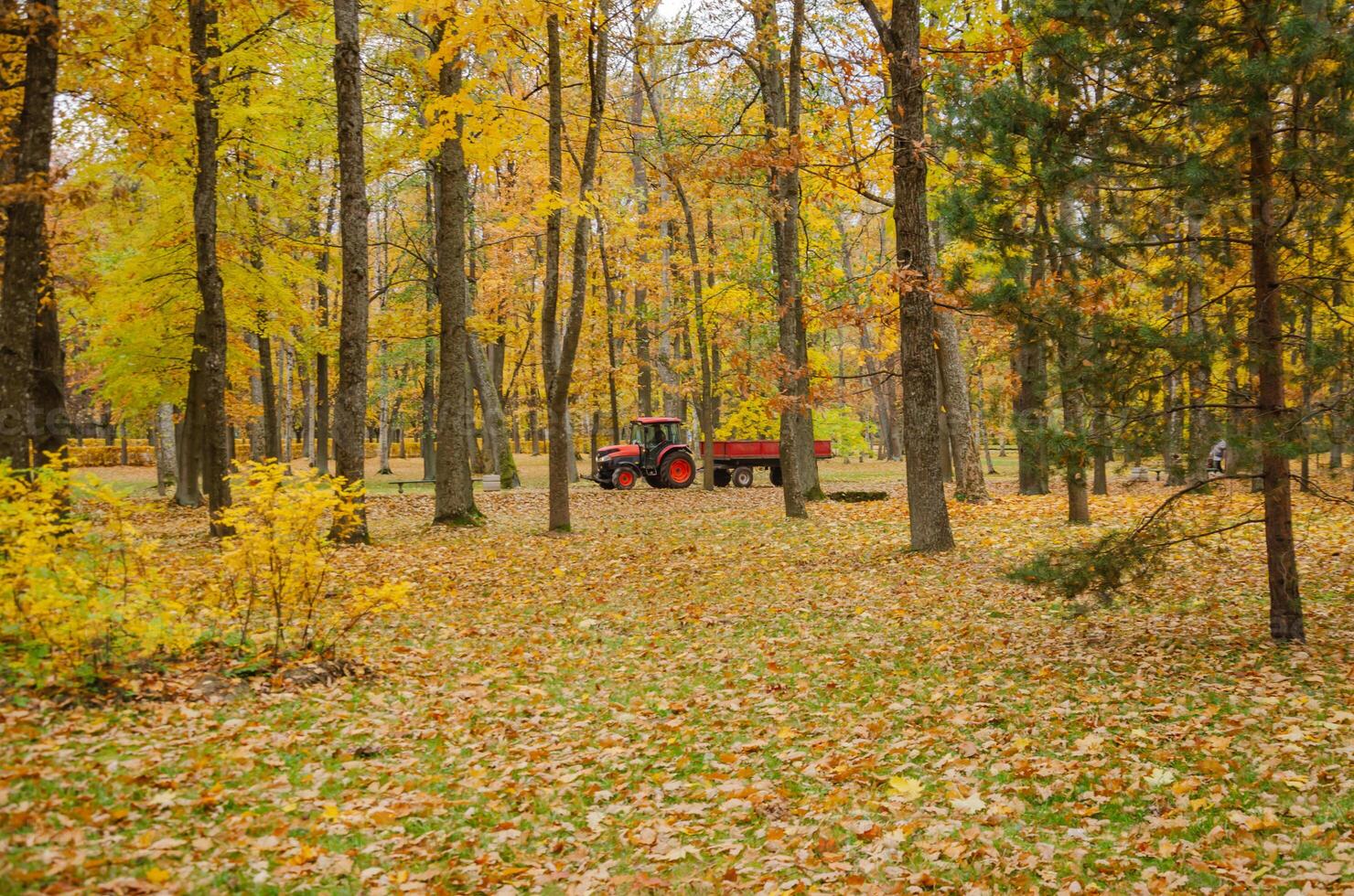 A red tractor is driving in the autumn park. High quality photo