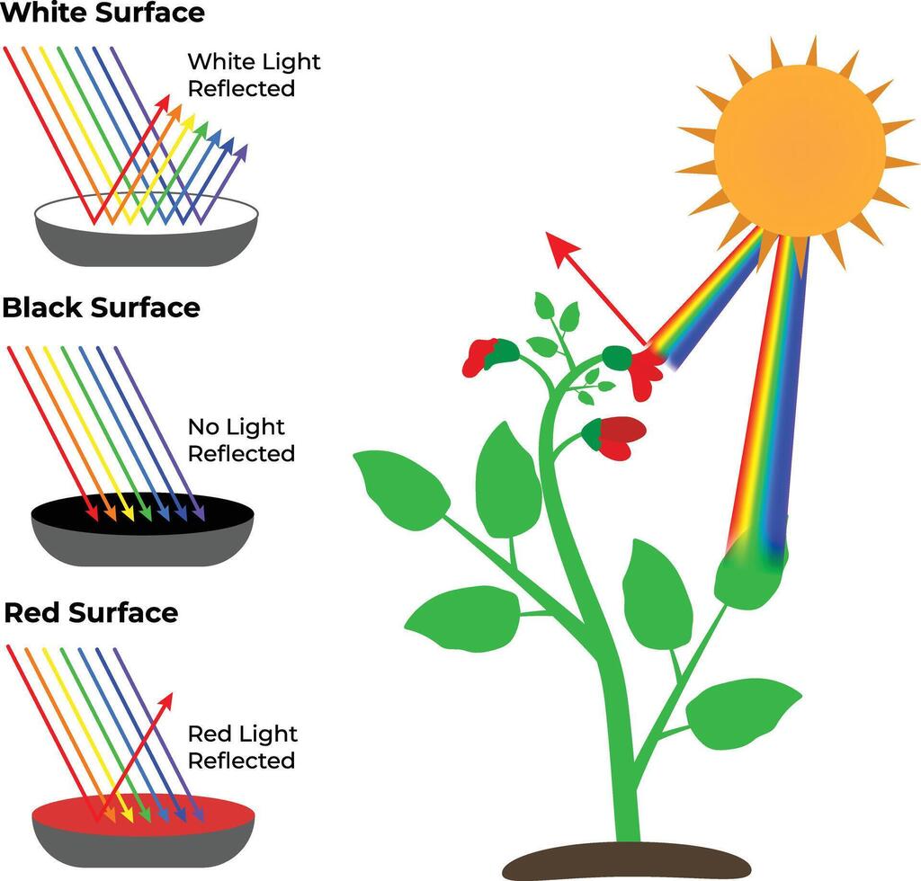 Light reflection on white, black, red surfaces vector