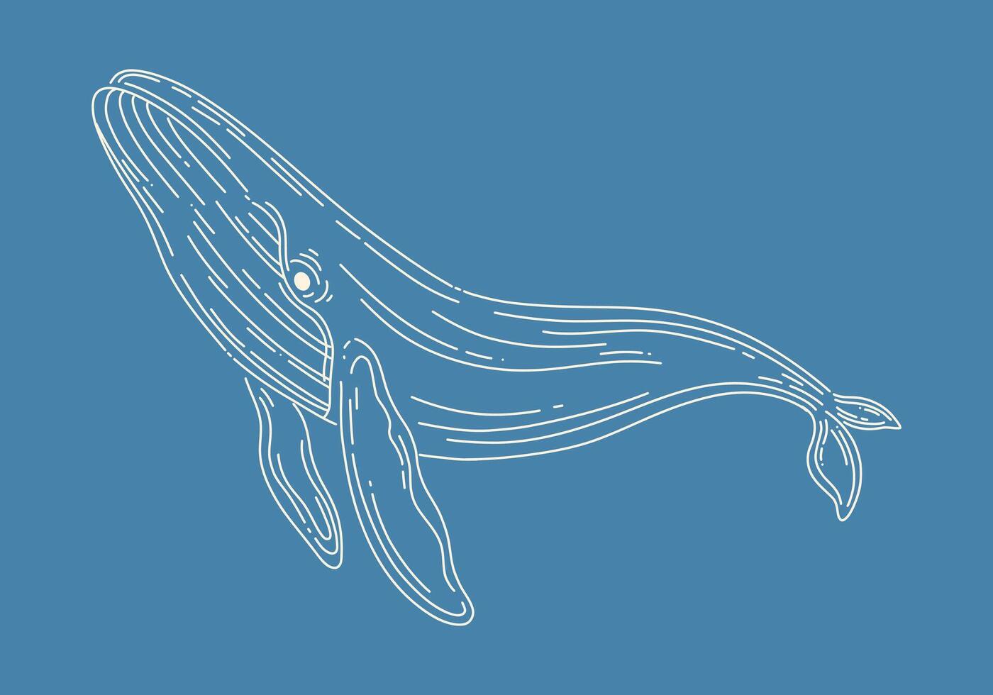 Whale outline clip art marine life monoline minimalist isolated editable vector