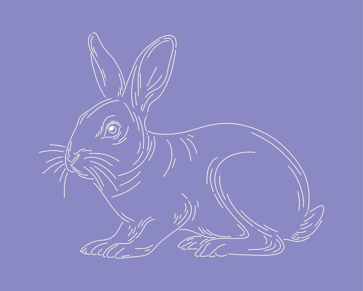 Rabbit bunny outline clip art animal illustration easter element isolated editable vector