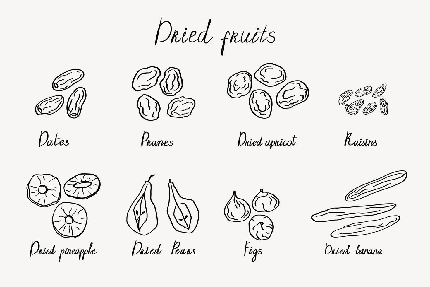 Dried fruits doodle with prunes, dates, apricot, figs, raisins, dried apricots, banana, pineapple, pear for isolated background. Oriental sweets, damson, healthy food. For label, template, logo, card vector