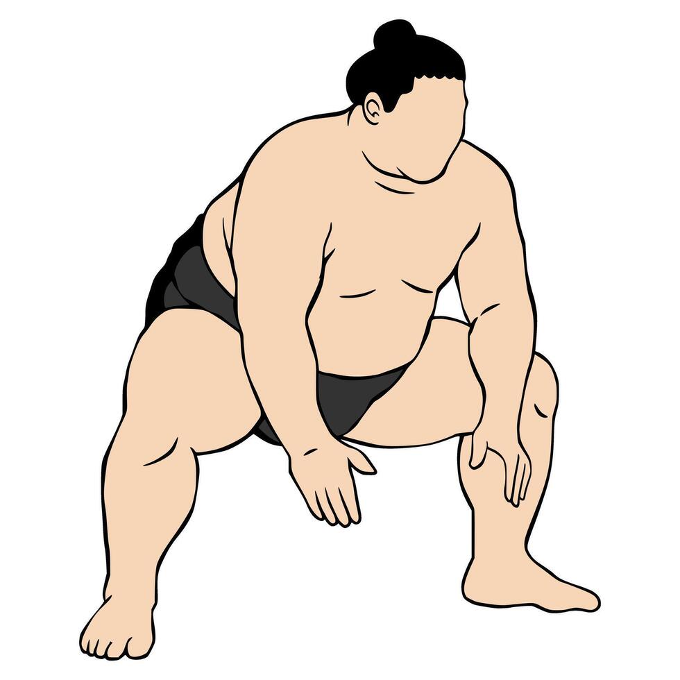 Art Sumo Illustration vector