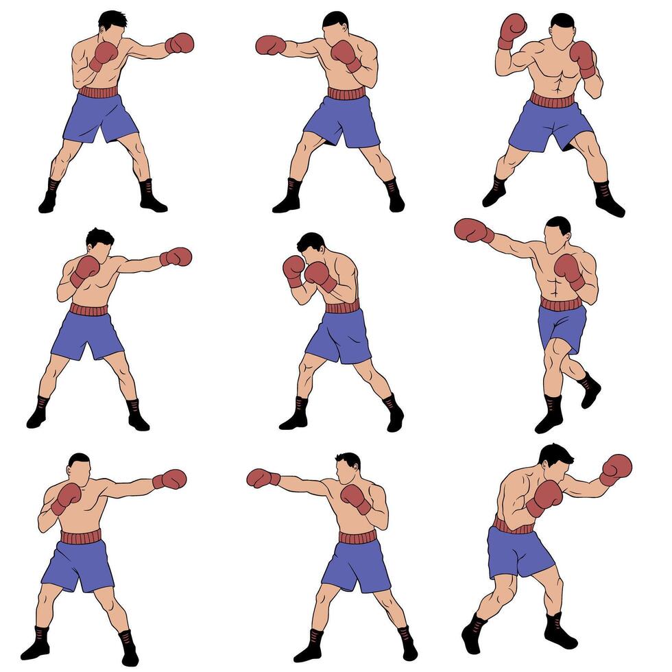 Boxing poses for training and illustration vector