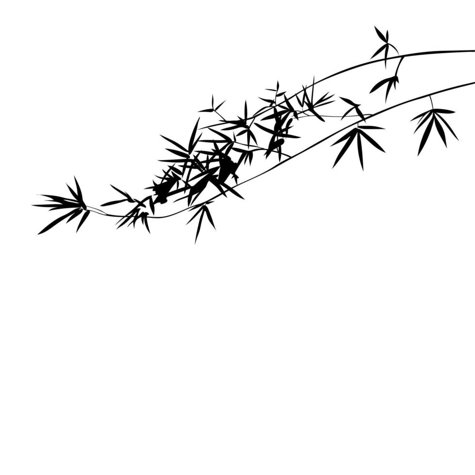 Silhouette of bamboo branches on white background with nature and art design. Nature inspired elements and decorative textures. vector