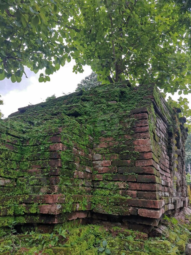 ancient pagoda in green season background photo