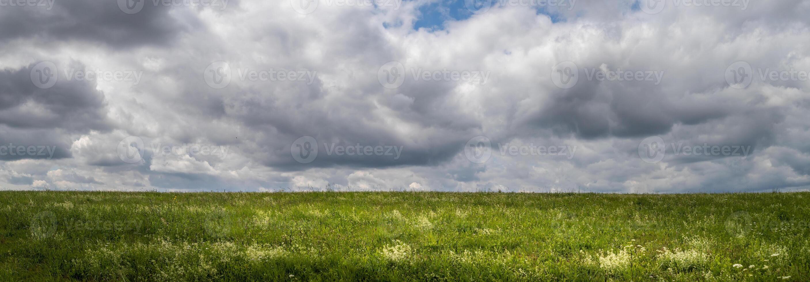 landscape with green grass field, cloudy sky photo