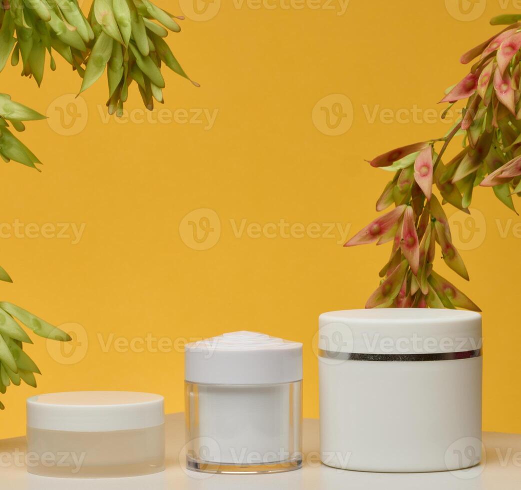 Three white cosmetic jars without labels stand on a white background. Branches with green and reddish-pink seeds hang from above photo