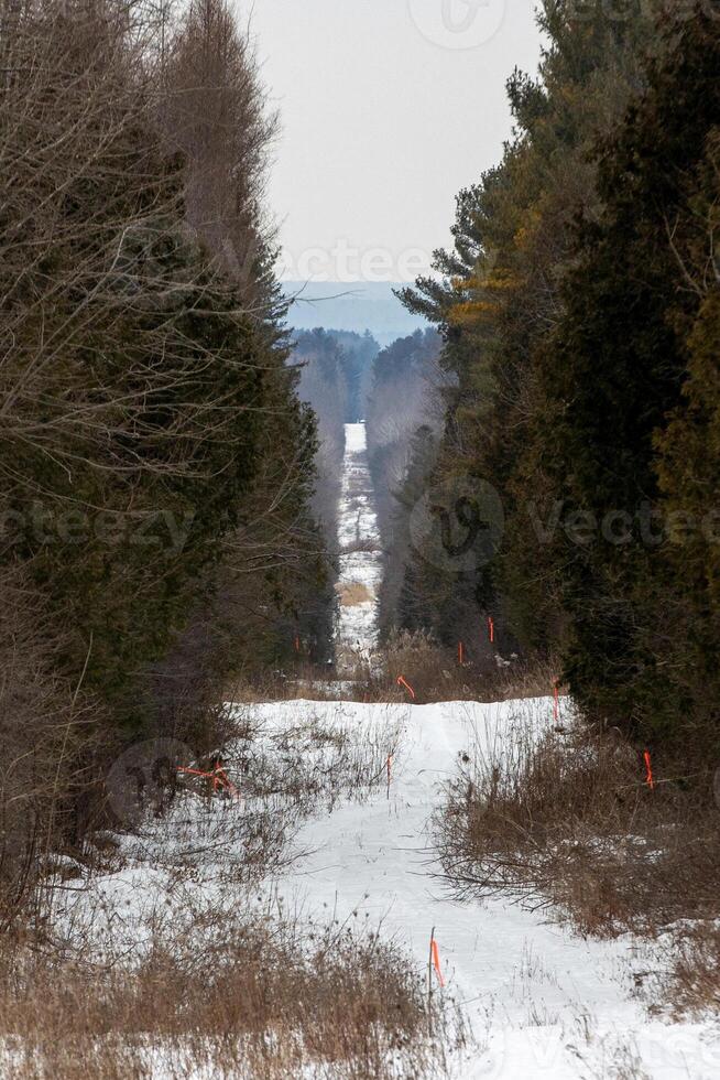 Canada-U.S. Border Near Champlain, New York ,Aerial View photo