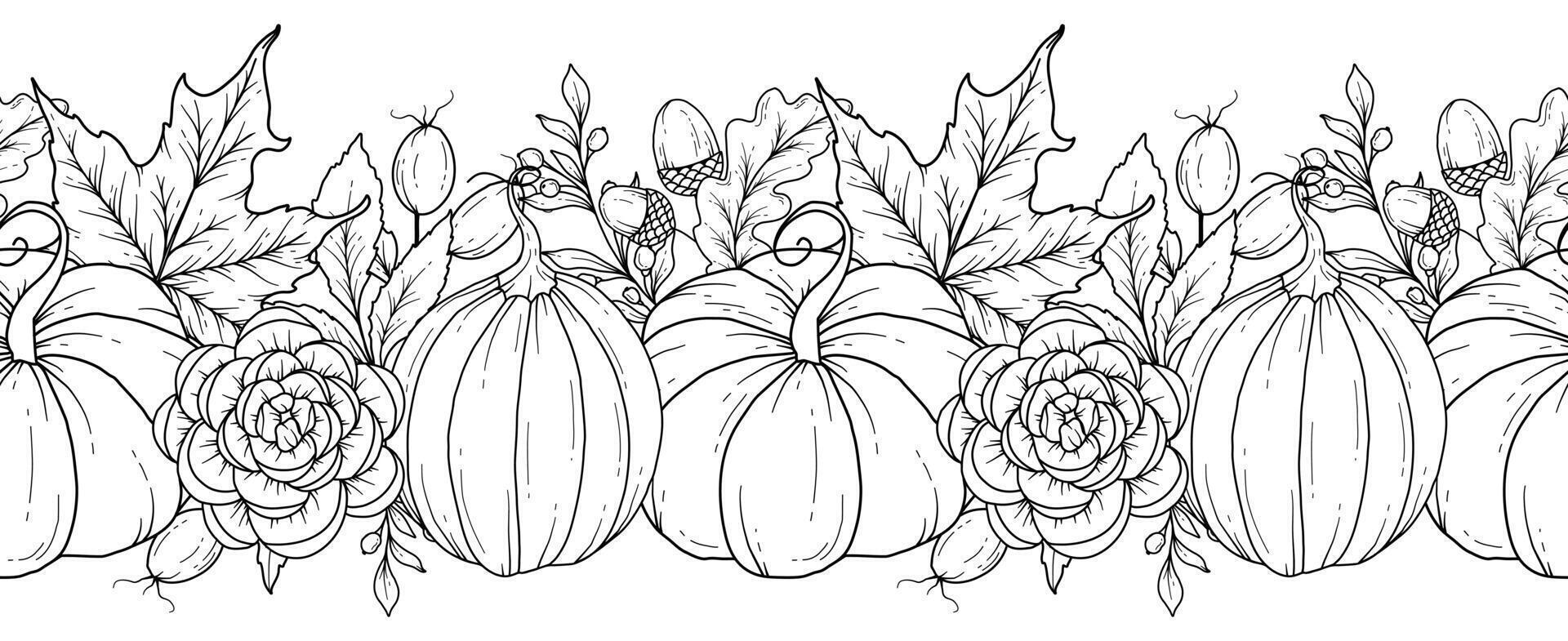 Seamless Autumn Border with Leaves, Pumpkins, Acorns and Flowers. Seamless Horizontal Fall Background. Autumn Line Art Drawing. Fall Flower Design. Fall Botanical garland seamless. Border Frame vector