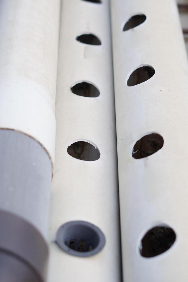 Along the white pipe, there are multiple evenly placed round holes. photo
