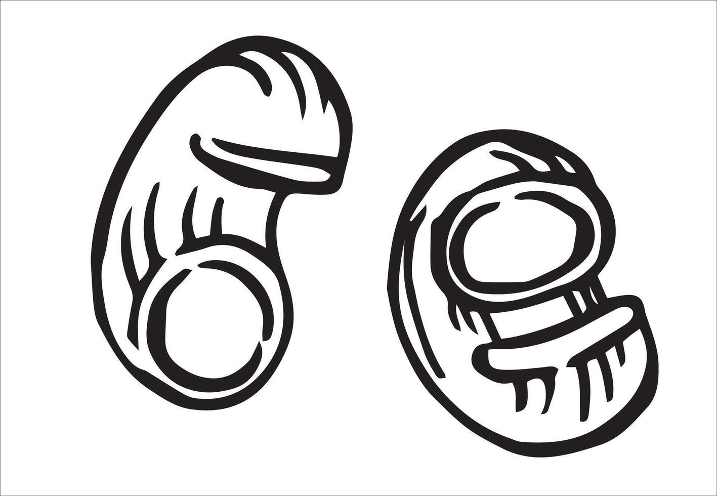 pasta pire rigate. illustration in doodle style vector
