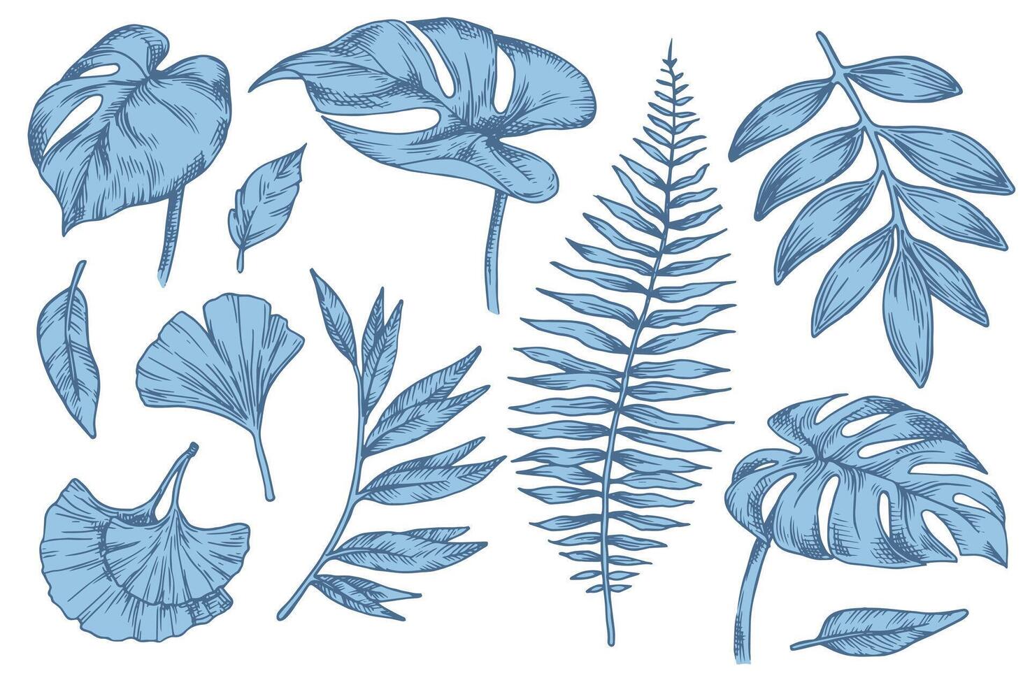 Blue botanical leaf illustrations vector