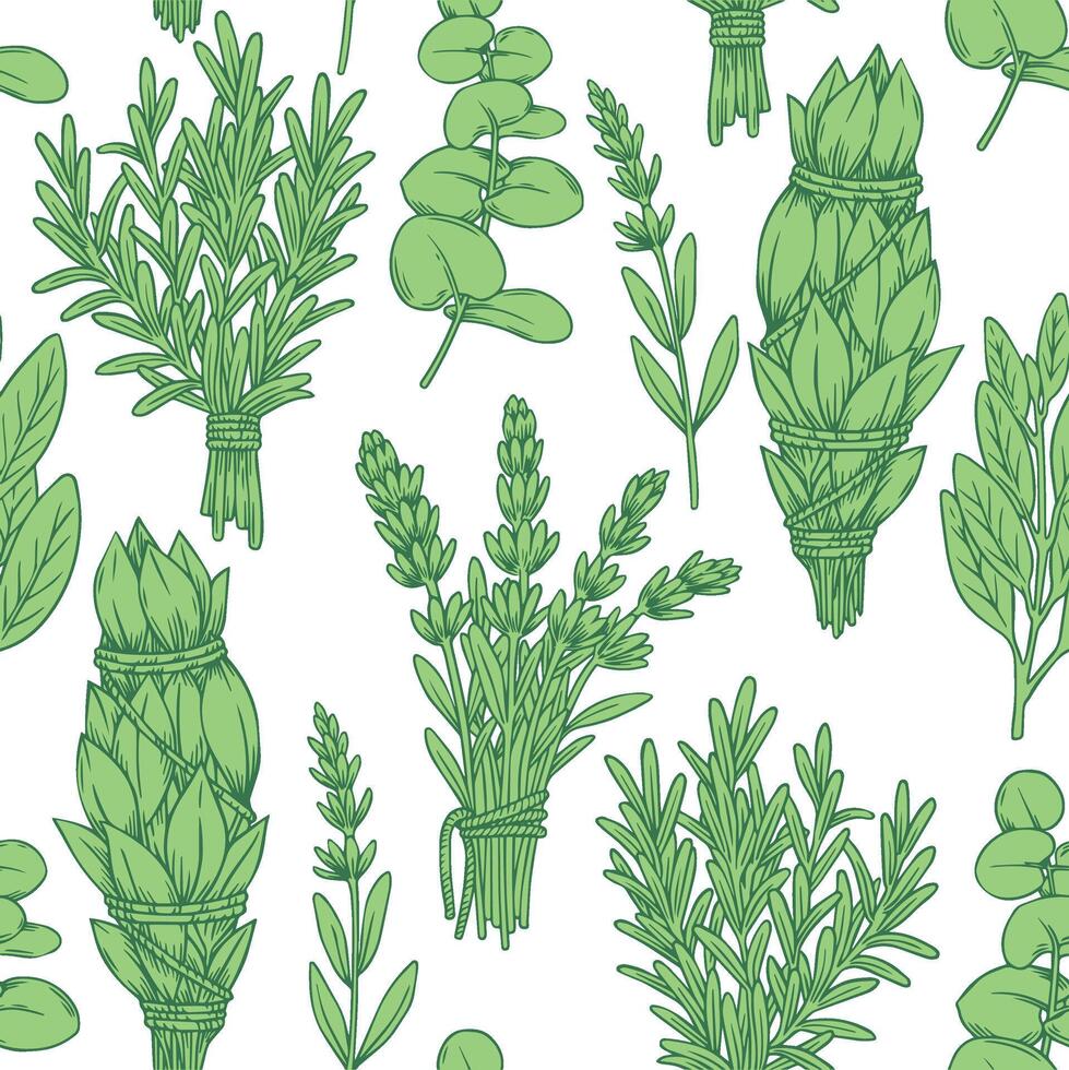 illustration of various green herbs vector