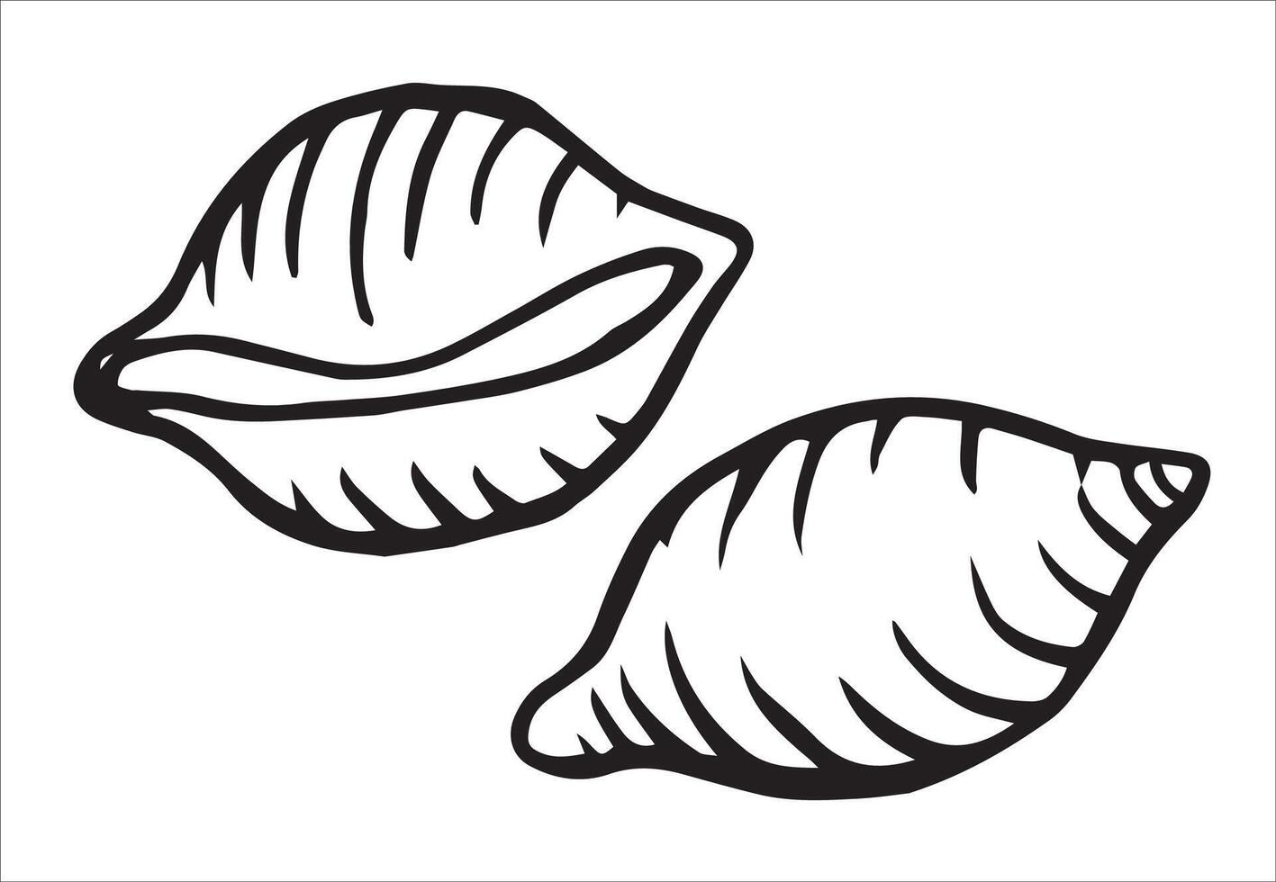 conchiglie pasta. illustration in doodle style vector