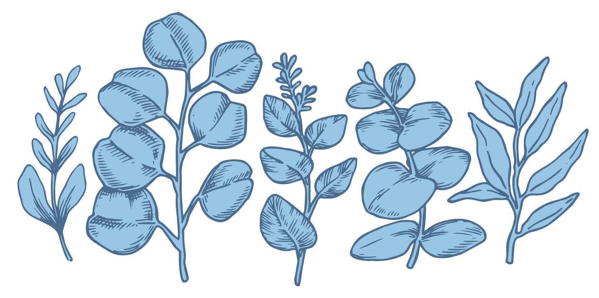 Blue illustrated leaves for design vector